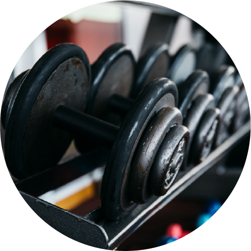 Gym Equipment